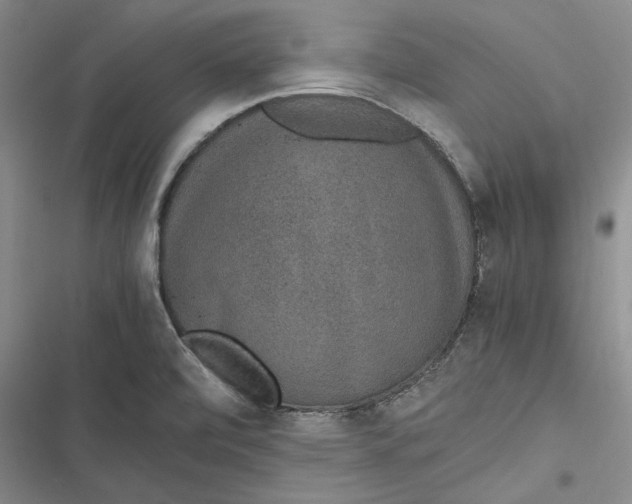 X0000116861472201001121230