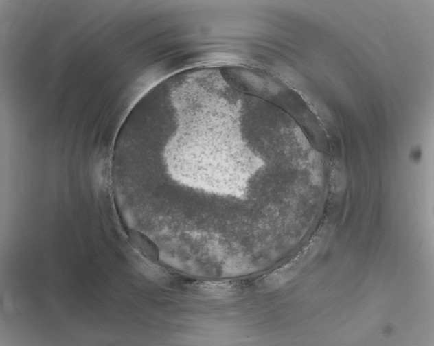 X0000116861473201001121230