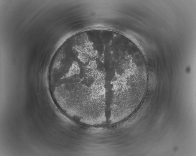 X0000116861474201001121230