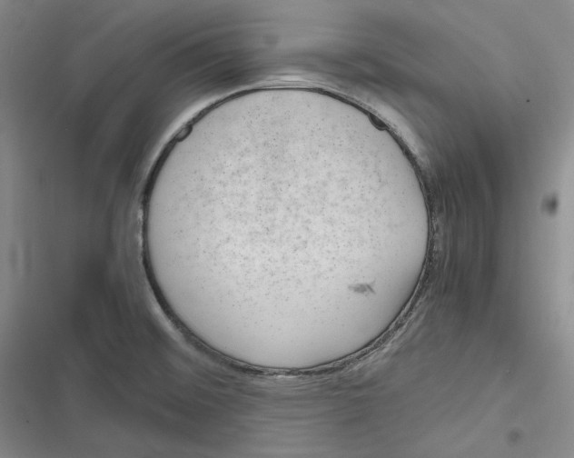 X0000116861476201001121230