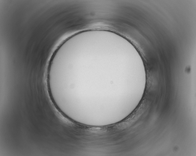 X0000116861478201001121230