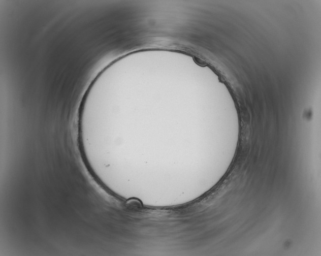 X0000116861479201001121230