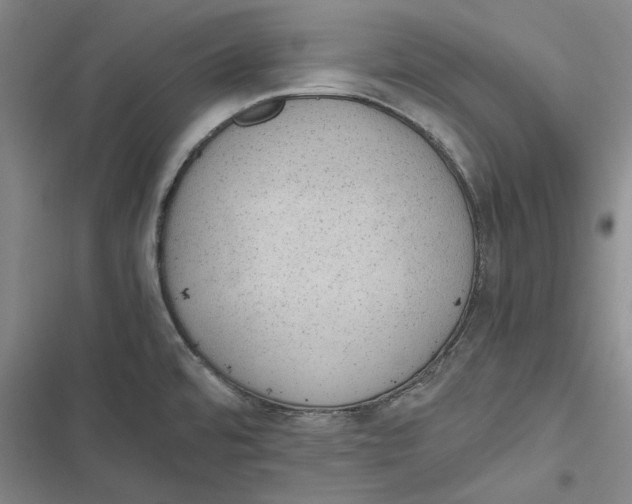 X0000116861480201001121230