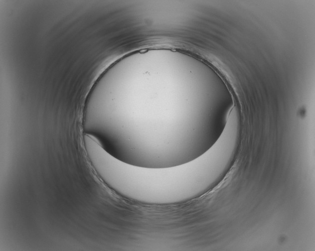 X0000116861481201001121230