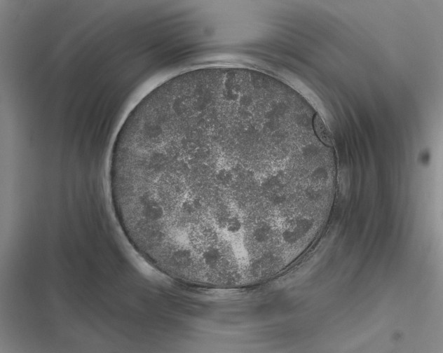 X0000116861482201001121230