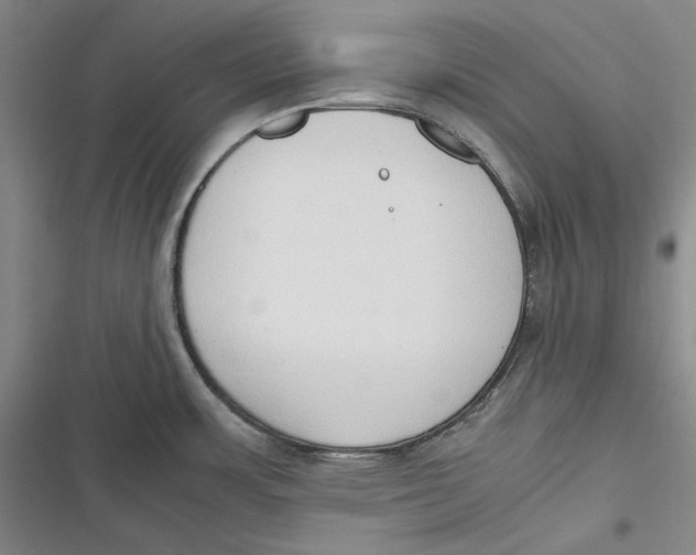 X0000116861483201001121230