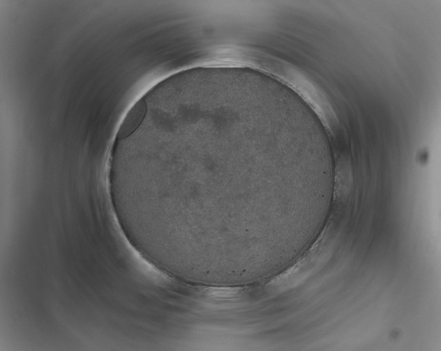 X0000116861484201001121230