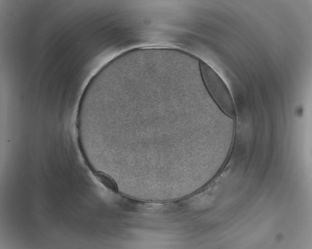 X0000116861485201001121230