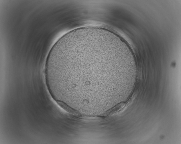 X0000116861487201001121230