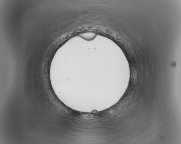 X0000116861489201001121229