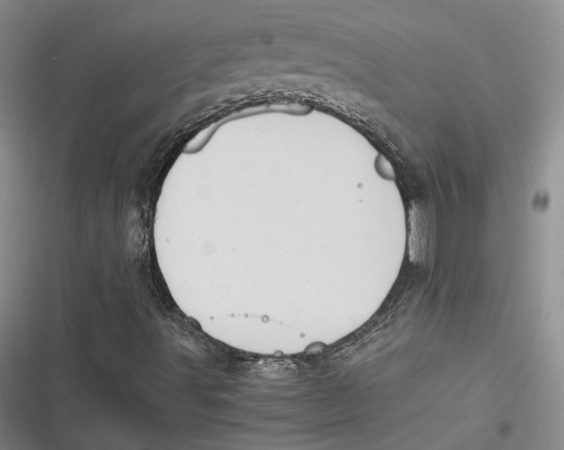 X0000116861491201001121230