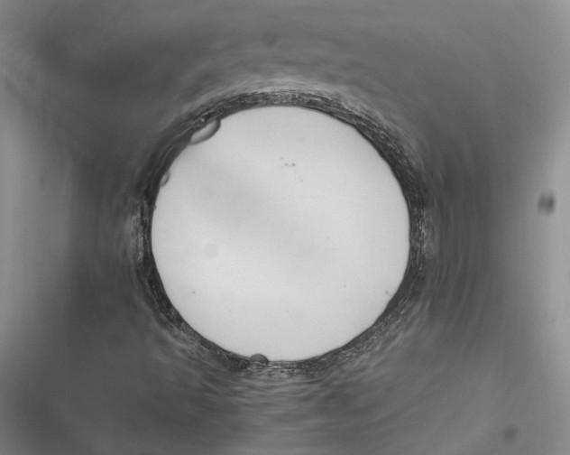 X0000116861493201001121230