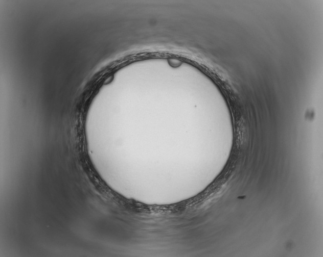 X0000116861494201001121230