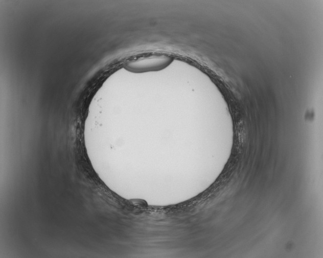 X0000116861495201001121230