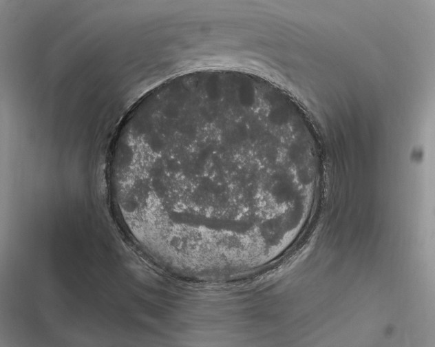 X0000116861497201001121230