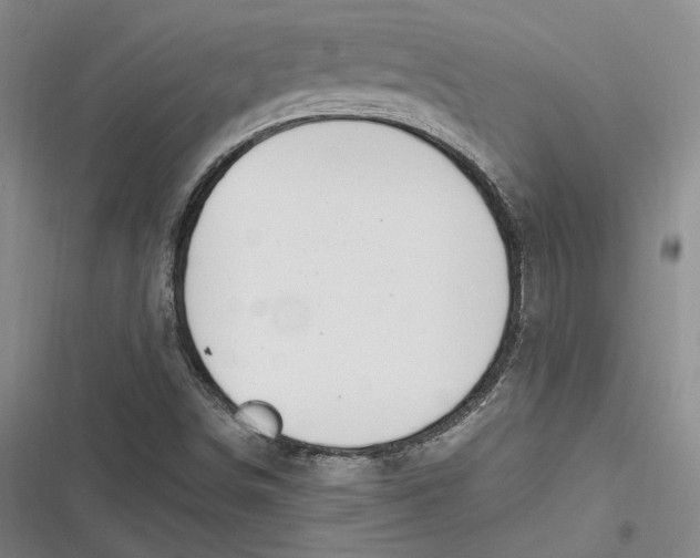 X0000116861498201001121230