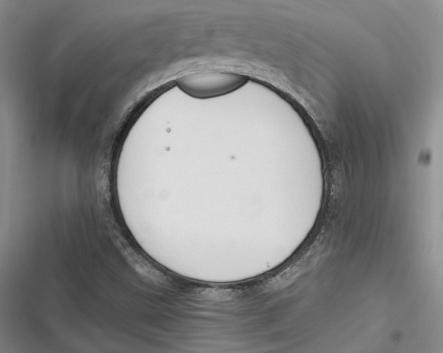 X0000116861499201001121230