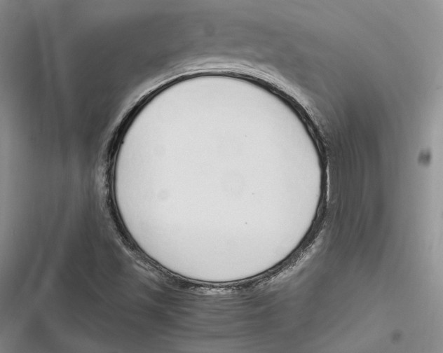 X0000116861501201001121230