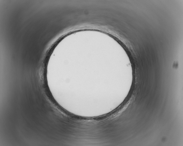 X0000116861502201001121230