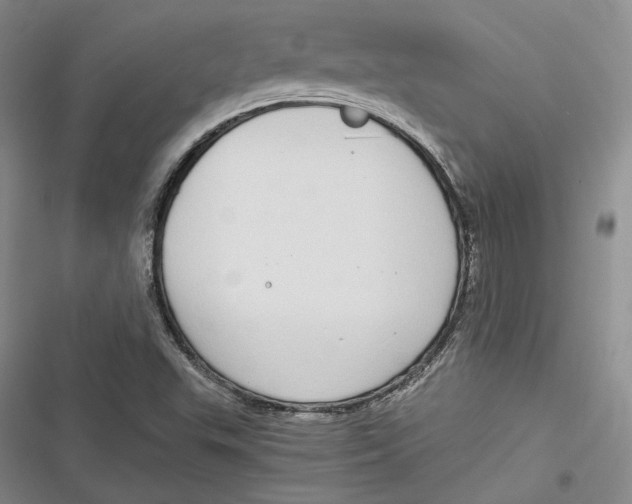 X0000116861503201001121230