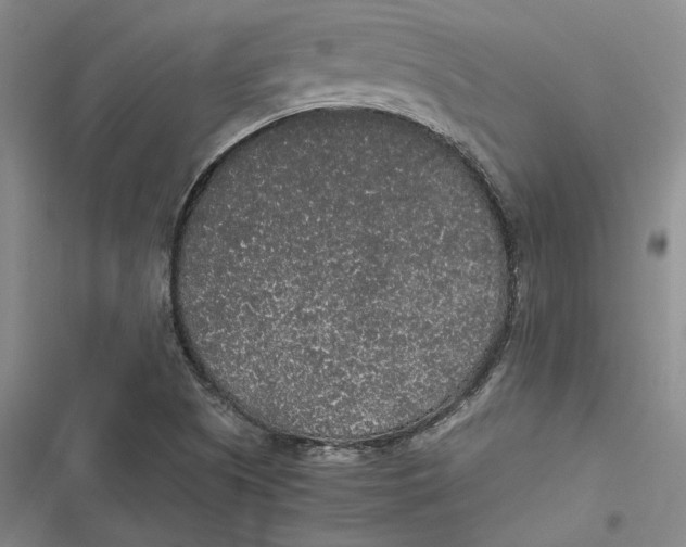 X0000116861505201001121230