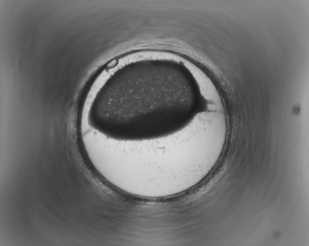 X0000116861506201001121230