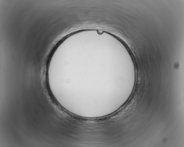 X0000116861507201001121230