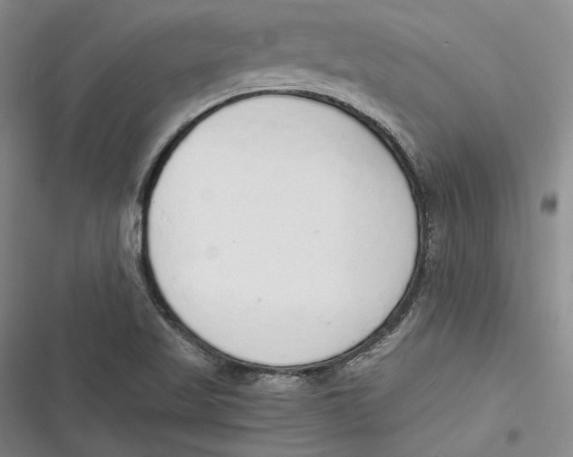 X0000116861509201001121230