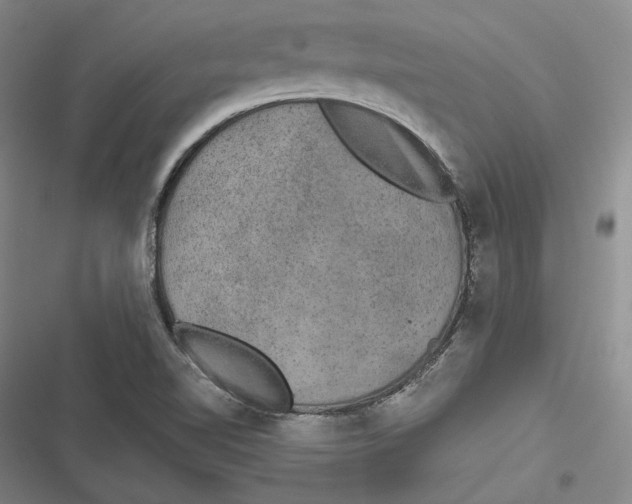 X0000116861510201001121230