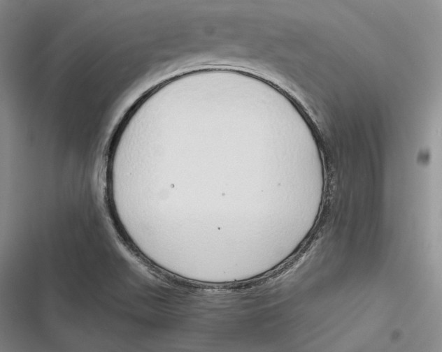 X0000116861511201001121230