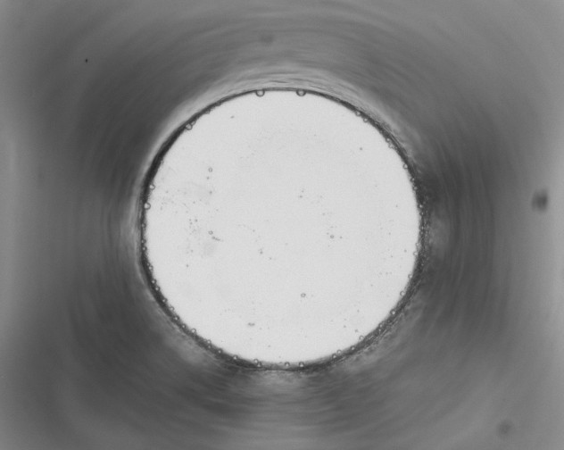 X0000116861514201001121230