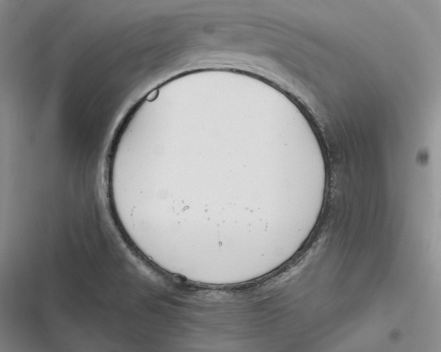 X0000116861517201001121230