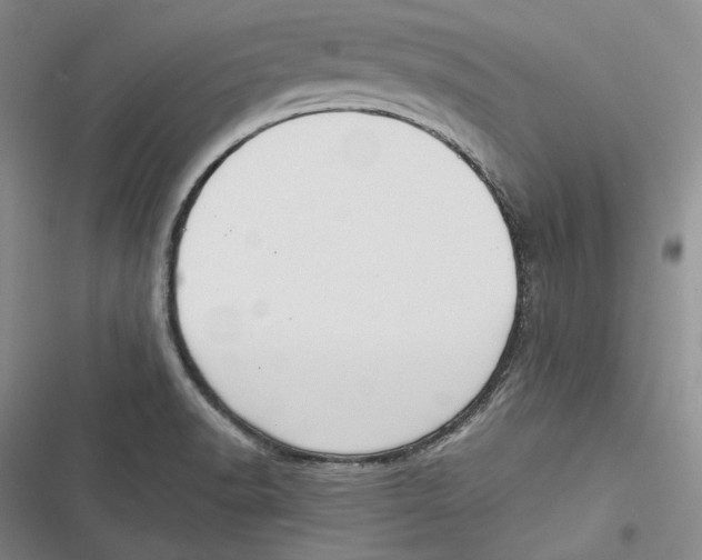 X0000116861518201001121230