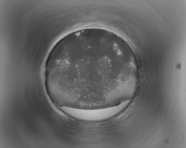 X0000116861519201001121230