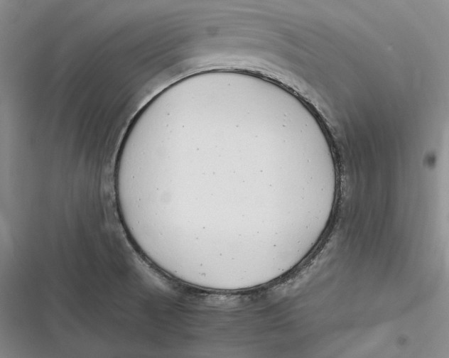 X0000116861521201001121230