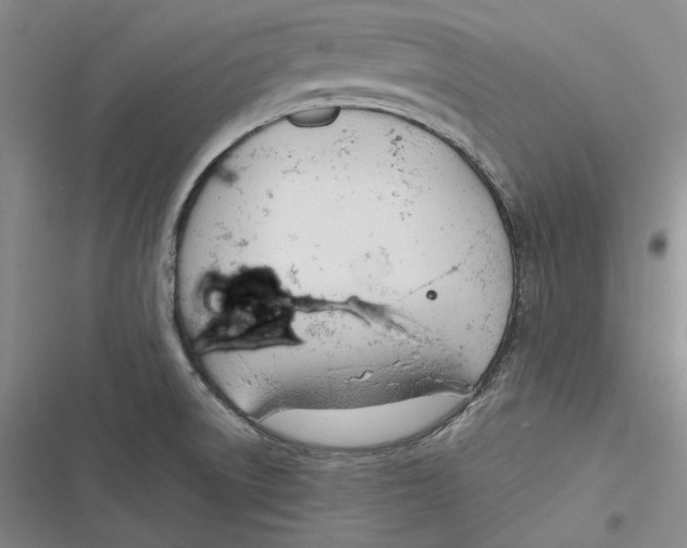 X0000116861522201001121230