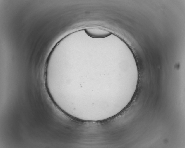 X0000116861526201001121230