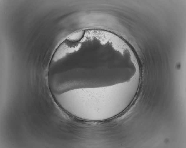 X0000116861529201001121230