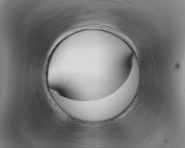 X0000116861530201001121230