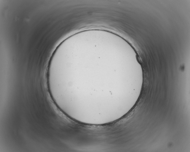 X0000116861534201001121230