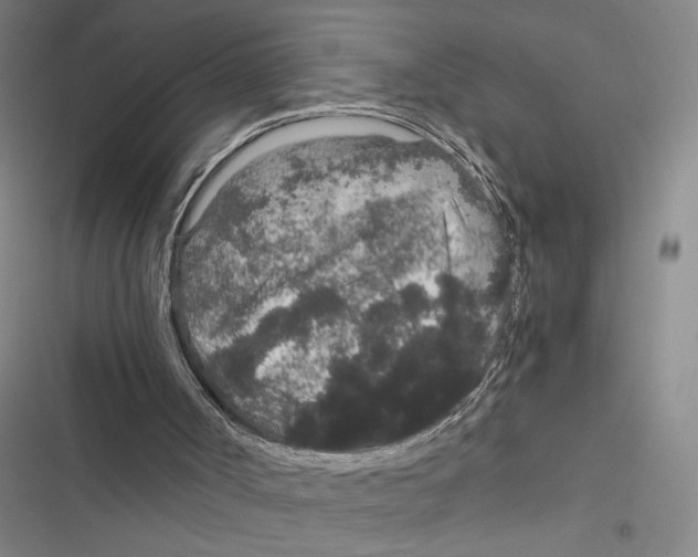 X0000116860002201001191711