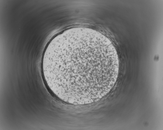 X0000116860003201001191711