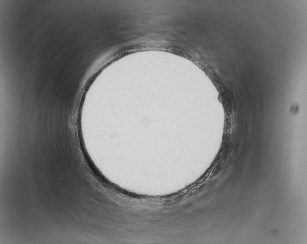 X0000116860004201001191711