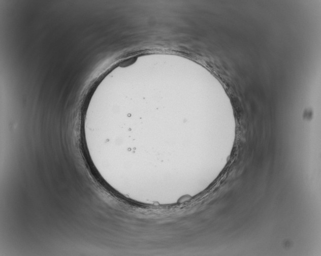 X0000116860005201001191711