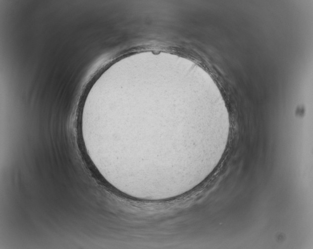 X0000116860006201001191711