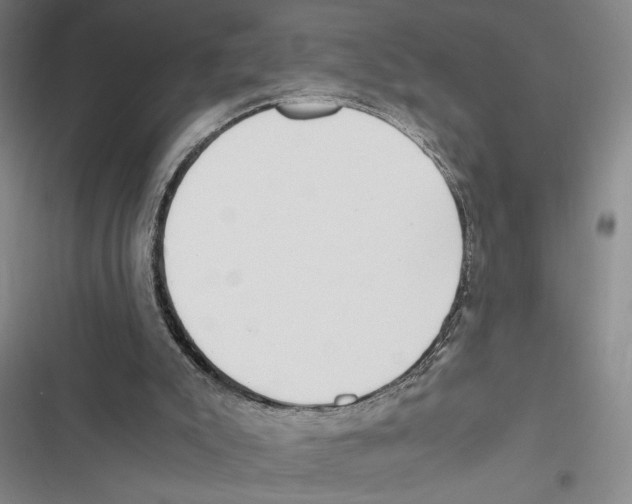 X0000116860007201001191711