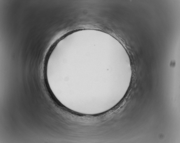 X0000116860008201001191711