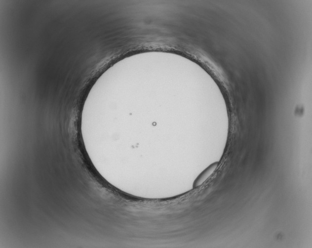 X0000116860009201001191711