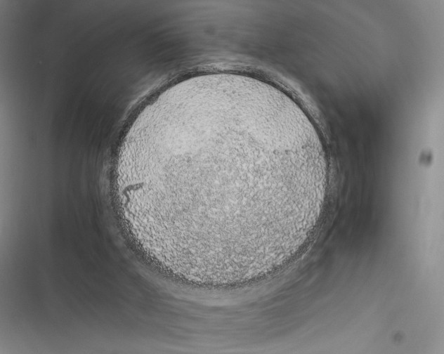 X0000116860010201001191711