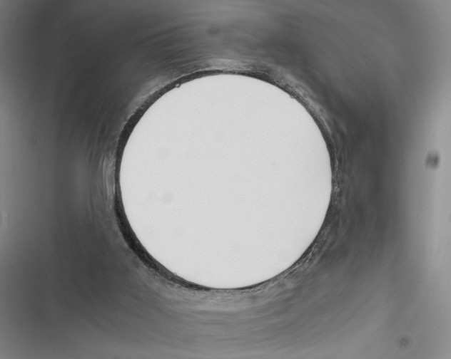 X0000116860011201001191711